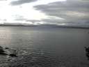 ./images/koeye/fitz-hugh/20151107/fitz-hugh20151107_122102.jpg