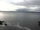 ./images/koeye/fitz-hugh/20151107/fitz-hugh20151107_122701.jpg