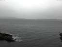 ./images/koeye/fitz-hugh/20151110/fitz-hugh20151110_080003.jpg