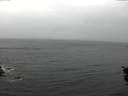 ./images/koeye/fitz-hugh/20151110/fitz-hugh20151110_100002.jpg