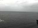 ./images/koeye/fitz-hugh/20151110/fitz-hugh20151110_120002.jpg