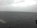 ./images/koeye/fitz-hugh/20151110/fitz-hugh20151110_121502.jpg