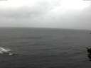 ./images/koeye/fitz-hugh/20151110/fitz-hugh20151110_121802.jpg