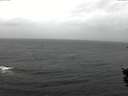 ./images/koeye/fitz-hugh/20151110/fitz-hugh20151110_122702.jpg