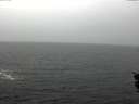 ./images/koeye/fitz-hugh/20151112/fitz-hugh20151112_120002.jpg