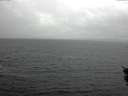 ./images/koeye/fitz-hugh/20151112/fitz-hugh20151112_121502.jpg