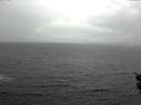 ./images/koeye/fitz-hugh/20151112/fitz-hugh20151112_121802.jpg