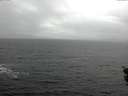 ./images/koeye/fitz-hugh/20151112/fitz-hugh20151112_122101.jpg