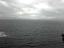 ./images/koeye/fitz-hugh/20151112/fitz-hugh20151112_122402.jpg