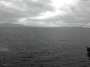 ./images/koeye/fitz-hugh/20151112/fitz-hugh20151112_122701.jpg