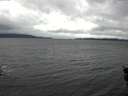 ./images/koeye/fitz-hugh/20151112/fitz-hugh20151112_140002.jpg