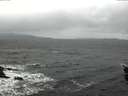 ./images/koeye/fitz-hugh/20151116/fitz-hugh20151116_122103.jpg