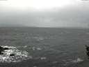 ./images/koeye/fitz-hugh/20151116/fitz-hugh20151116_122702.jpg