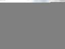 ./images/koeye/fitz-hugh/20151122/fitz-hugh20151122_122403.jpg