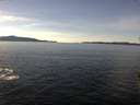 ./images/koeye/fitz-hugh/20151125/fitz-hugh20151125_122702.jpg