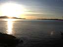 ./images/koeye/fitz-hugh/20151125/fitz-hugh20151125_160003.jpg