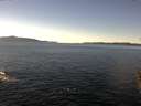 ./images/koeye/fitz-hugh/20151127/fitz-hugh20151127_122403.jpg