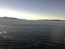 ./images/koeye/fitz-hugh/20151127/fitz-hugh20151127_122702.jpg