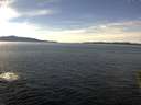 ./images/koeye/fitz-hugh/20151128/fitz-hugh20151128_122102.jpg