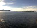 ./images/koeye/fitz-hugh/20151128/fitz-hugh20151128_122402.jpg