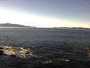 ./images/koeye/fitz-hugh/20151129/fitz-hugh20151129_122103.jpg
