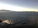 ./images/koeye/fitz-hugh/20151129/fitz-hugh20151129_122402.jpg