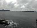 ./images/koeye/fitz-hugh/20151202/fitz-hugh20151202_122101.jpg