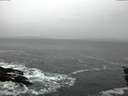 ./images/koeye/fitz-hugh/20151203/fitz-hugh20151203_121502.jpg