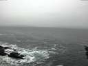 ./images/koeye/fitz-hugh/20151203/fitz-hugh20151203_122103.jpg