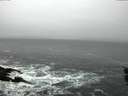 ./images/koeye/fitz-hugh/20151203/fitz-hugh20151203_122702.jpg
