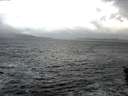 ./images/koeye/fitz-hugh/20151204/fitz-hugh20151204_080003.jpg