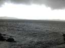 ./images/koeye/fitz-hugh/20151204/fitz-hugh20151204_121503.jpg