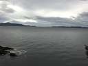 ./images/koeye/fitz-hugh/20151205/fitz-hugh20151205_120002.jpg