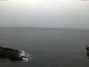 ./images/koeye/fitz-hugh/20151205/fitz-hugh20151205_160003.jpg