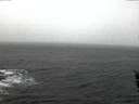 ./images/koeye/fitz-hugh/20151206/fitz-hugh20151206_080003.jpg