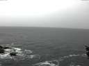 ./images/koeye/fitz-hugh/20151206/fitz-hugh20151206_122702.jpg