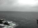 ./images/koeye/fitz-hugh/20151206/fitz-hugh20151206_140003.jpg