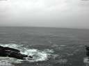 ./images/koeye/fitz-hugh/20151206/fitz-hugh20151206_160003.jpg