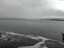 ./images/koeye/fitz-hugh/20151207/fitz-hugh20151207_122103.jpg
