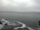 ./images/koeye/fitz-hugh/20151207/fitz-hugh20151207_122402.jpg