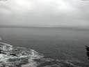 ./images/koeye/fitz-hugh/20151207/fitz-hugh20151207_122703.jpg