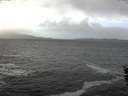 ./images/koeye/fitz-hugh/20151208/fitz-hugh20151208_120003.jpg