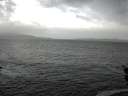 ./images/koeye/fitz-hugh/20151208/fitz-hugh20151208_121502.jpg