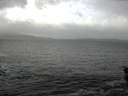 ./images/koeye/fitz-hugh/20151208/fitz-hugh20151208_121802.jpg