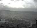 ./images/koeye/fitz-hugh/20151208/fitz-hugh20151208_122101.jpg