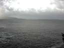 ./images/koeye/fitz-hugh/20151208/fitz-hugh20151208_122402.jpg