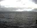 ./images/koeye/fitz-hugh/20151209/fitz-hugh20151209_120002.jpg
