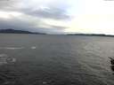 ./images/koeye/fitz-hugh/20151210/fitz-hugh20151210_121502.jpg