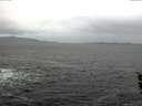 ./images/koeye/fitz-hugh/20151211/fitz-hugh20151211_121803.jpg