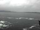 ./images/koeye/fitz-hugh/20151212/fitz-hugh20151212_100002.jpg